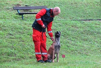 Mezinrodn zkouky IRO, Such Loz 2011