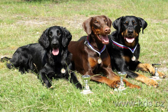 Junior Cup, Hradec Krlov 2007