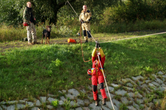 Mezinrodn cvien a zvod kynolog USAR, Chomutov 2007